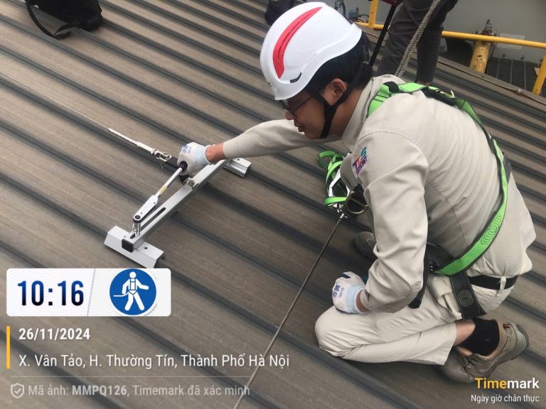 Tổng Quan Về Dây Cứu Sinh Mái