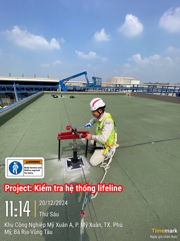 Các loại dây cứu sinh mái phổ biến